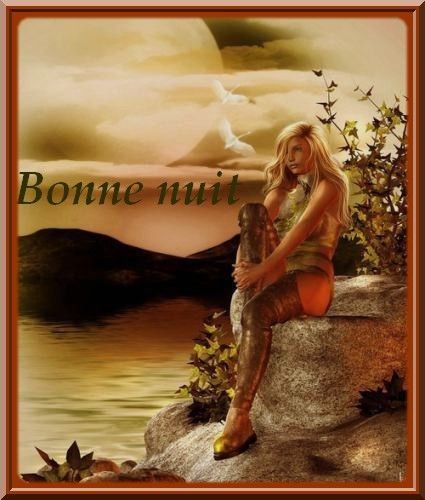 bonne nuit