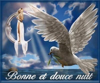 bonne nuit
