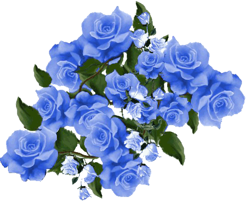 Résultat d’images pour Gifs fleurs bleues